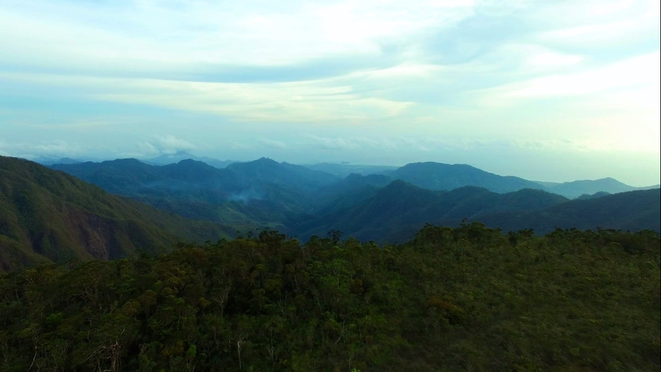 Mount Hamiguitan’s Pygmy Forest