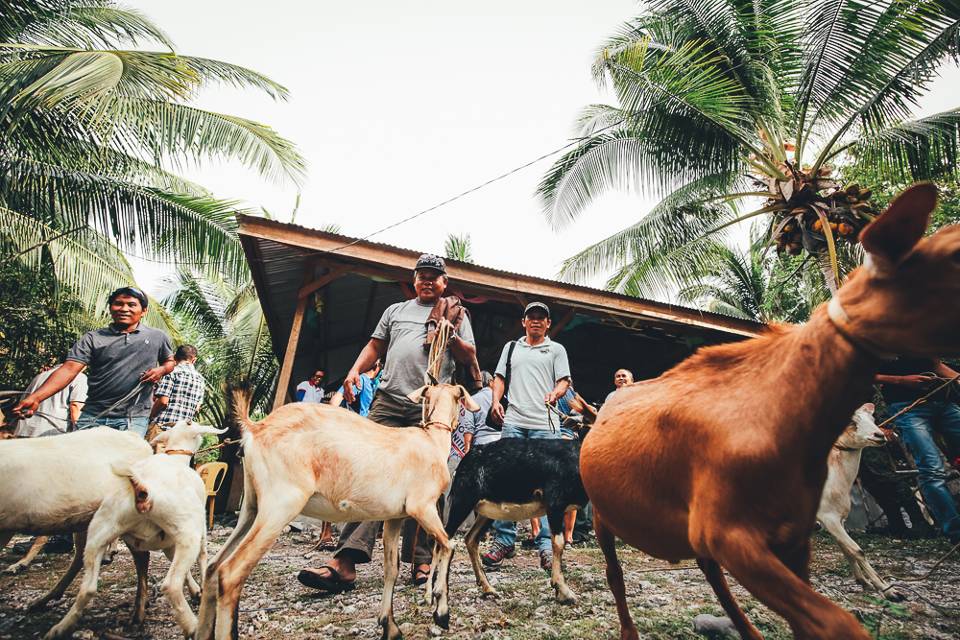 Muslim Community Goat Livelihood Davao Oriental