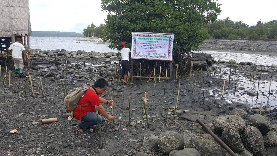 ALS Tibungco Mangrove Planting