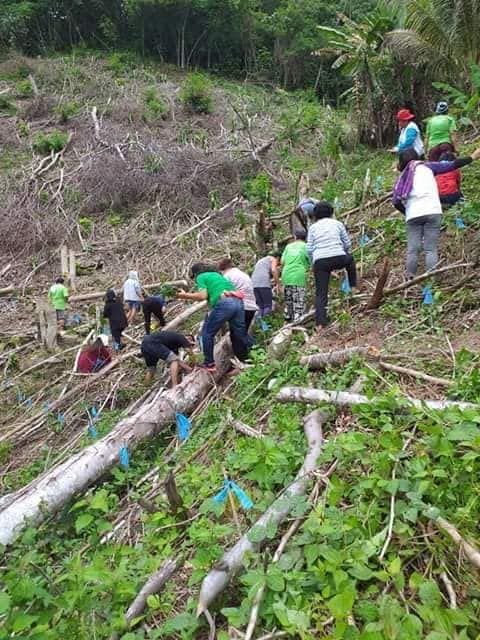 OLMMP tree planting 2019