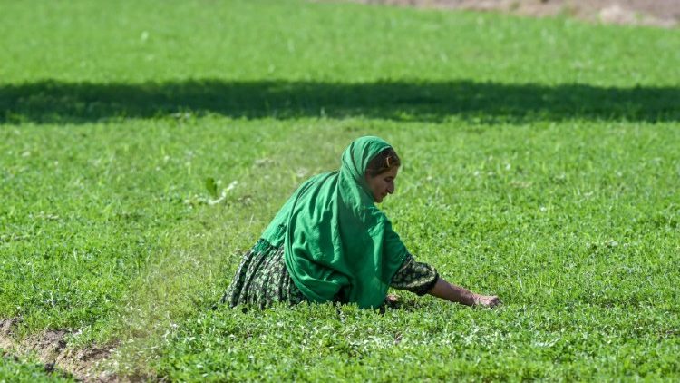 A farmer working in a field AFP