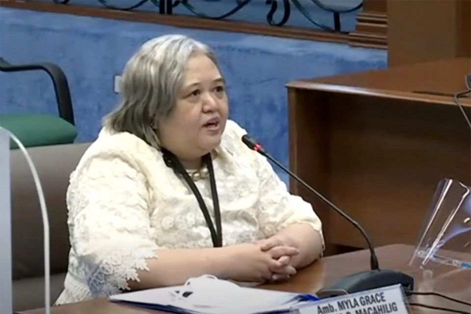 20210602 CA hearing Amb Myla Grace Ragenia Macahilig Screenshot Senate