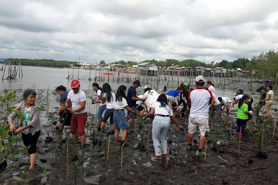 Planting Mangrove seedlings Davao City