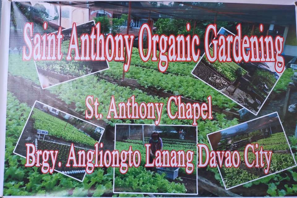 St Anthony Chapel Urban Garden Lanang