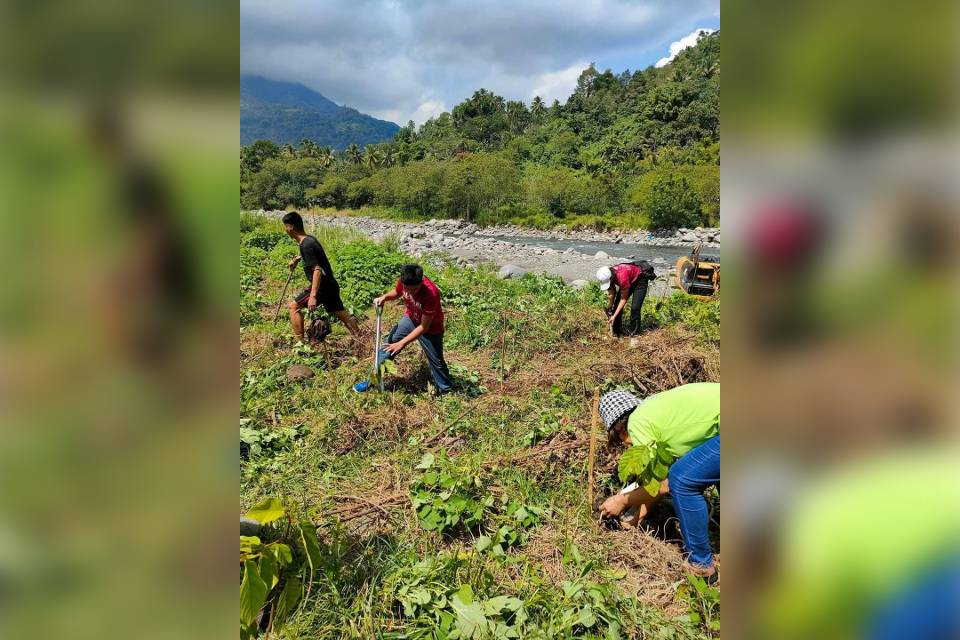 Riverside of Panigan Tamugan River Tree Planting