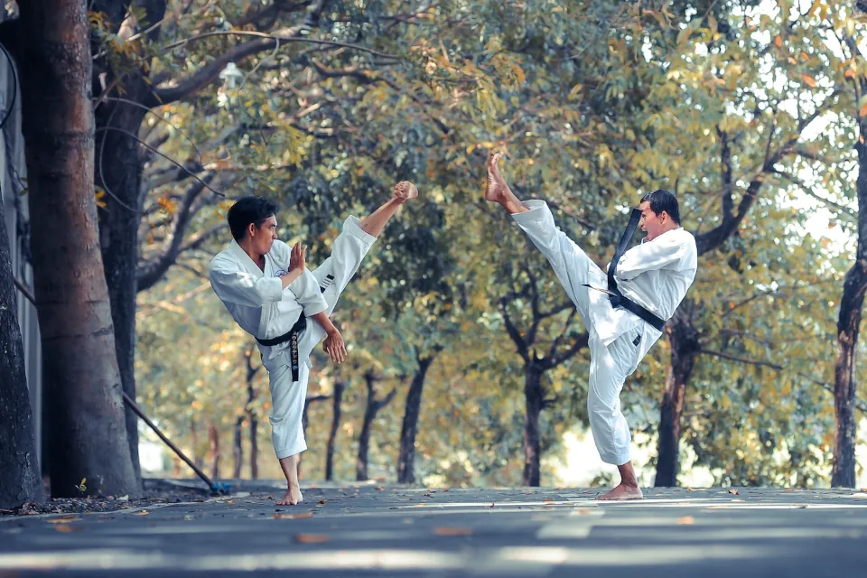 Martial arts karate stock by Thao Lee on unsplash