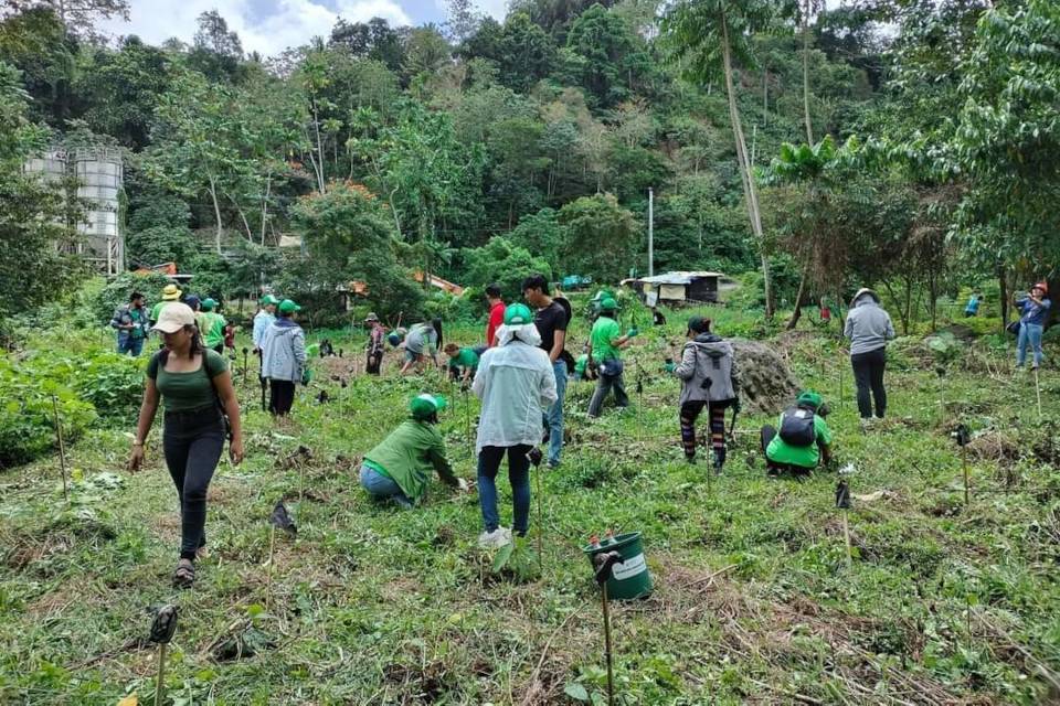 Redemptorist Youth Tree Planting Care Activity 2023