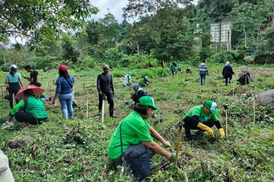 Redemptorist Youth Tree Planting Care Activity 2023