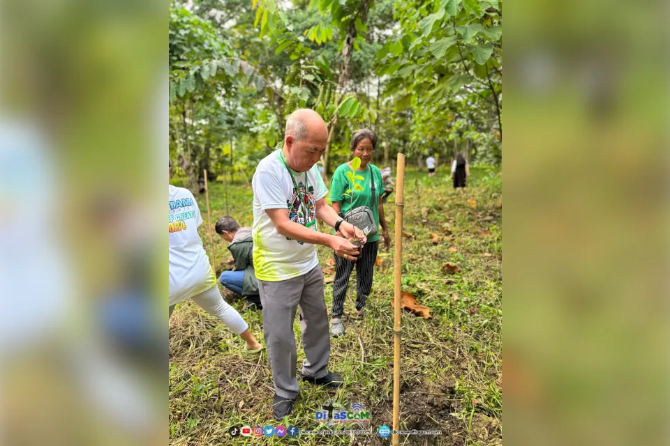 DaDiTaMa Subregion Tree Planting 2024