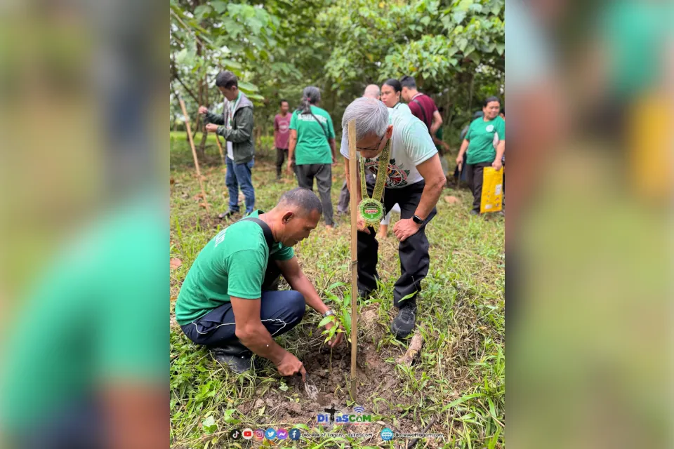 DaDiTaMa Subregion Tree Planting 2024