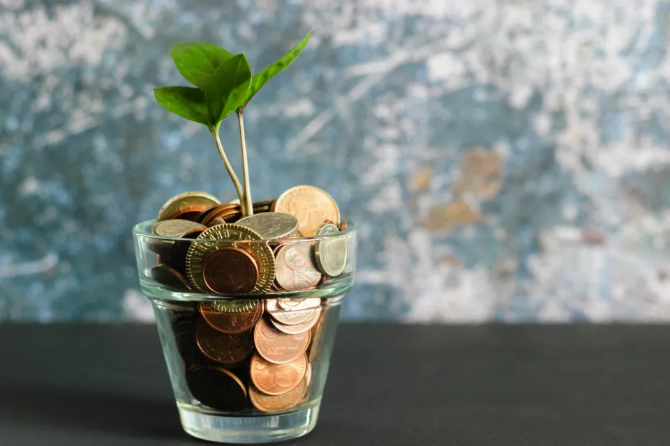 Stock photo of savings, money, coins in a glass with plant by Micheile Henderson on unsplash